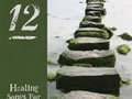 Twelve: Healing Songs for Recovery by David Kauffman